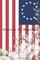 America the Beautiful
