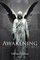 The Awakening