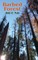 Barbed Forest