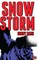 Snow Storm
