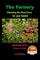 The Fernery - Choosing the Best Ferns for your Garden