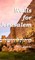 Walls For Jerusalem