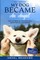 Dog Training