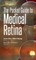 The Pocket Guide to Medical Retina