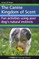 The Canine Kingdom of Scent