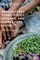 Agricultural Trade, Policy Reforms, and Global Food Security