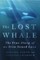 Lost Whale