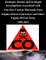Incidents, Deaths and In-Depth investigations Associated with Non-Fire Carbon Monoxide from Engine-driven Generators and Other Engine-Driven Tools, 1999-2011