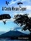 A Costa Rican Caper: A Novel Based On Actual Events