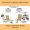Heaven Vs Reincarnation