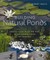 Building Natural Ponds
