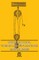 Induction Coil