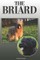 The Briard