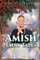 Amish Fairy Tales