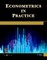 Econometrics in Practice