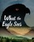 What the Eagle Sees