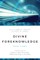 Divine Foreknowledge