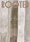 Vilsmeier, S: Rooted. Brasilianische Künstlerinnen / Female