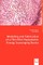 Modeling and Fabrication of a Thin Film Piezoelectric Energy Scavenging Device