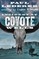 Incident at Coyote Wells