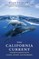 The California Current