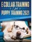 E Collar Training AND Puppy Training 2021 (2 Books IN 1)