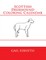 Scottish Deerhound Coloring Calendar