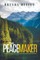 The Peacemaker