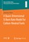 A Quasi-Dimensional Si Burn Rate Model for Carbon-Neutral Fuels