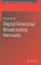 Digital Terrestrial Broadcasting Networks