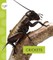 Crickets