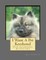 I Want A Pet Keeshond