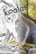 Koala Coloring Pages