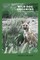 Wild Dog Dreaming