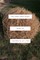 Tree Spirits, Grass Spirits