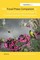 The Focal Press Companion to the Constructed Image in Contem