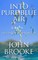Into Pure Blue Air