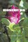 Rosebuds