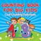 Counting Book For Big Kids