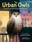 The Urban Owls