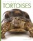 Tortoises