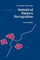 Introduction to Statistical Pattern Recognition