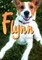 Flynn