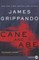 Cane and Abe
