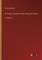 An Essay Towards a New Theory of Vision
