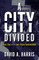 A City Divided: Race, Fear and the Law in Police Confrontations