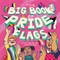 The Big Book of Pride Flags