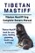 Tibetan Mastiff. Tibetan Mastiff Dog Complete Owners Manual. Tibetan Mastiff book for care, costs, feeding, grooming, health and training.