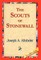 The Scouts of Stonewall