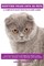 Scottish Folds Cats as Pets
